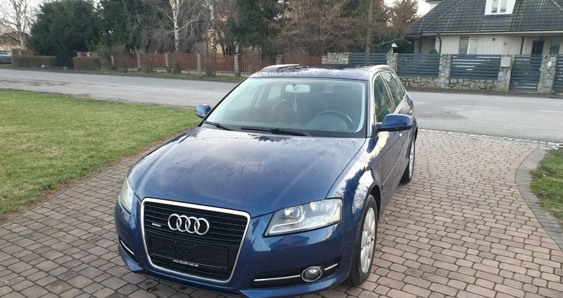 Audi A3 cena 31999 przebieg: 260569, rok produkcji 2010 z Piotrków Kujawski małe 781